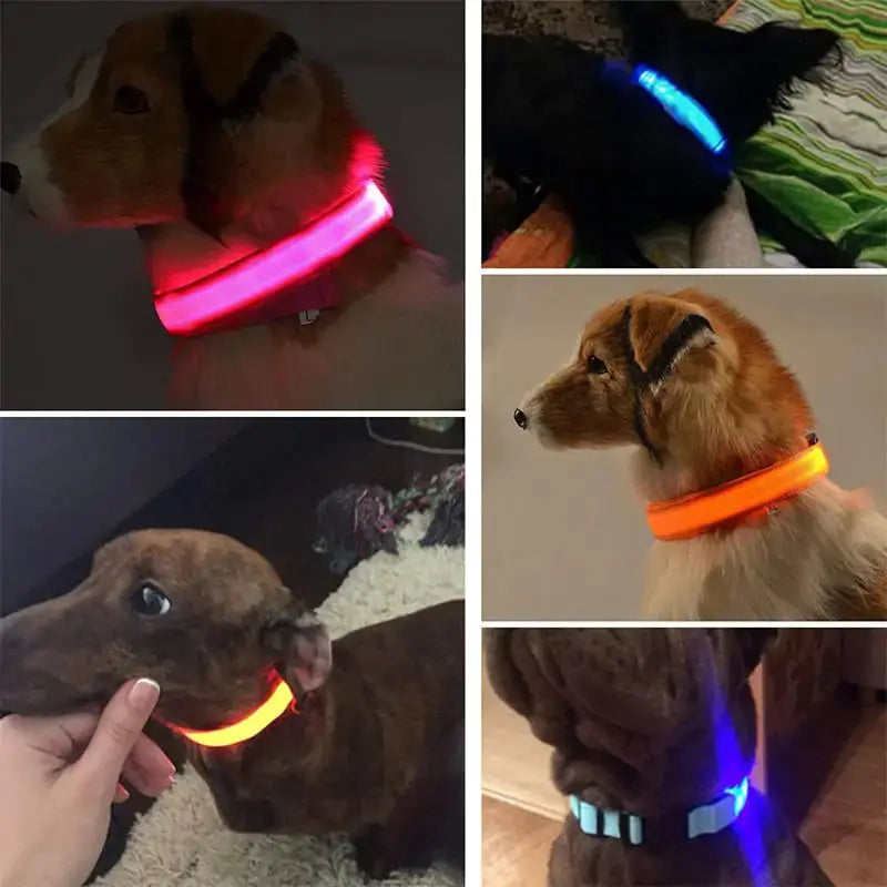 Adjustable LED Pet Collar GLR SHOPPING