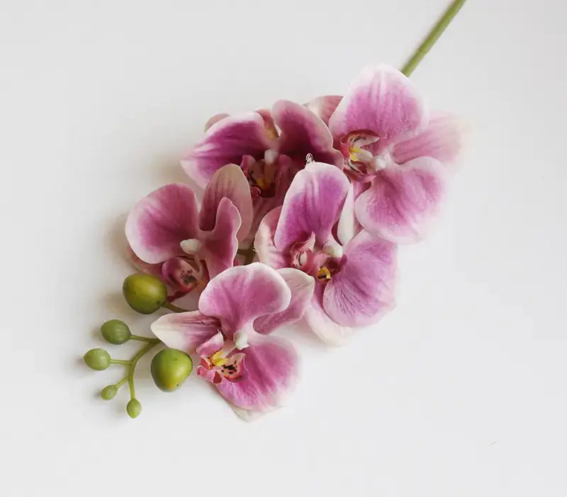 Artificial 6-Head Phalaenopsis Orchid GLR SHOPPING