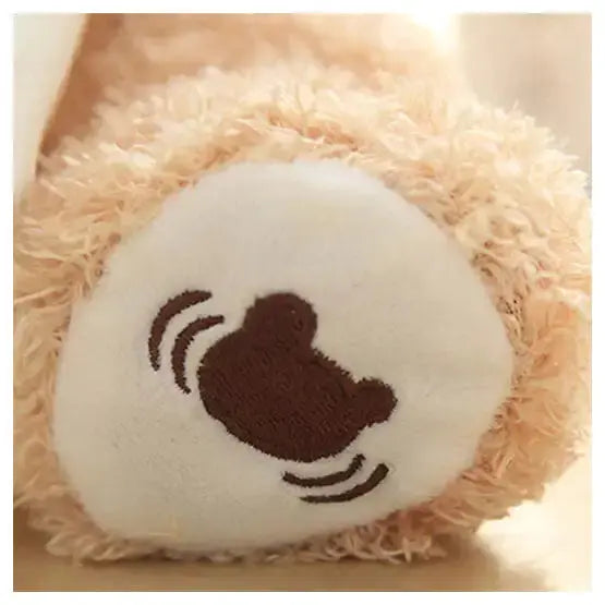 Teddy Bear Peekaboo Toy GLR SHOPPING