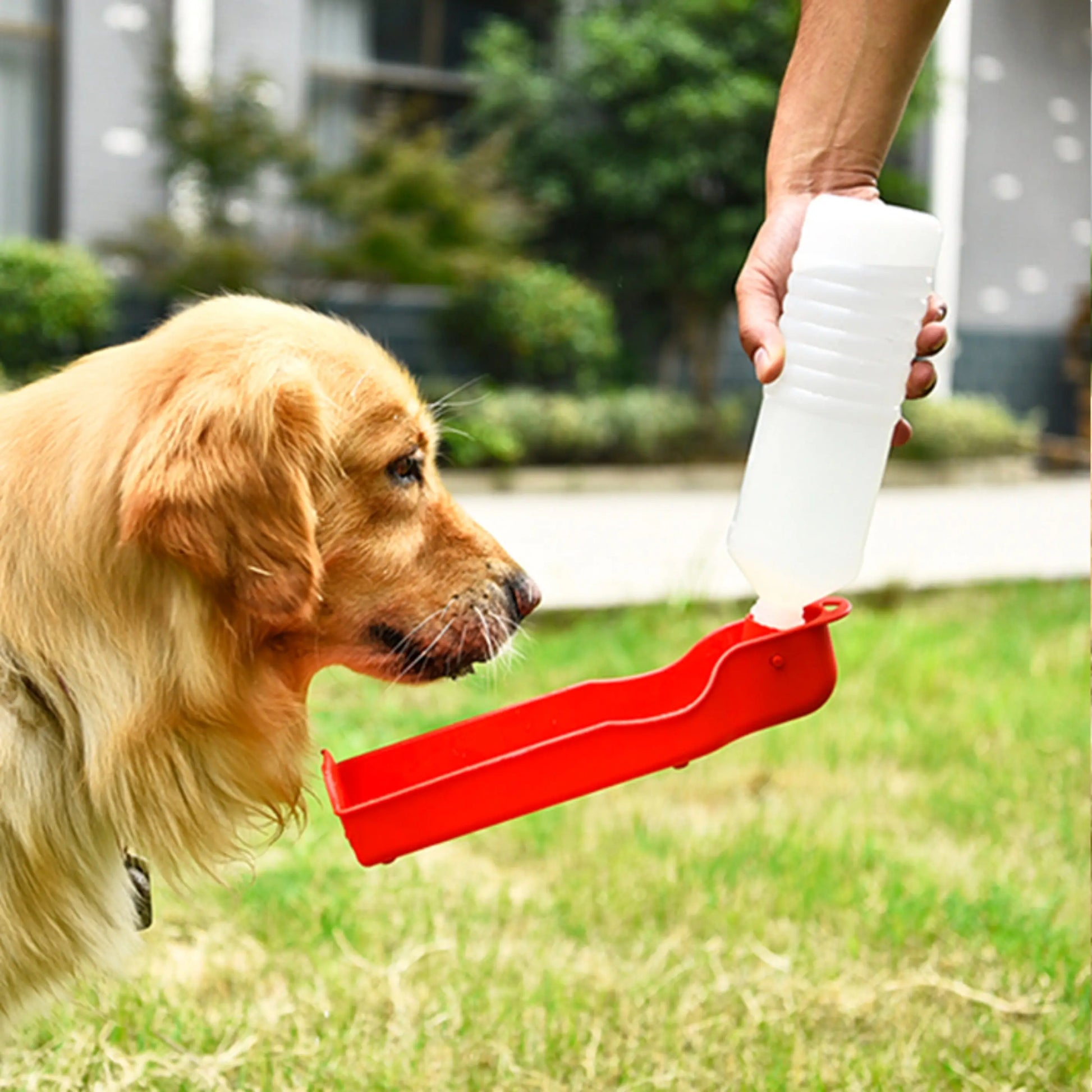 Portable Pet Travel Water Bowl Bottle Feeder Drinking Fountain - GLR SHOPPING