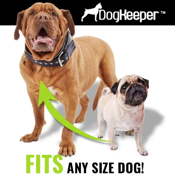DogKeeper - GLR SHOPPING