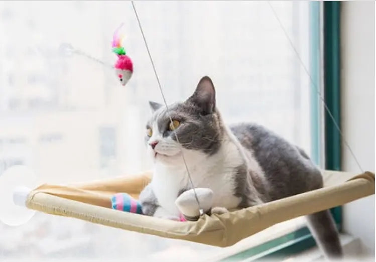 Cat Window Bed - GLR SHOPPING