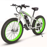 IonTrak SnowRider E-Bike