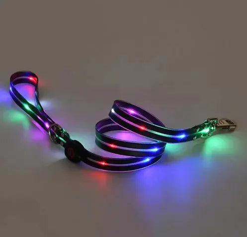 GlowGuard Collar GLR SHOPPING