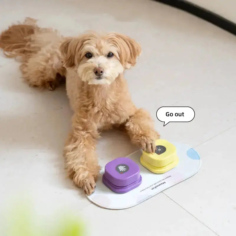 Training Buzzer Recordable Talking Button GLR SHOPPING