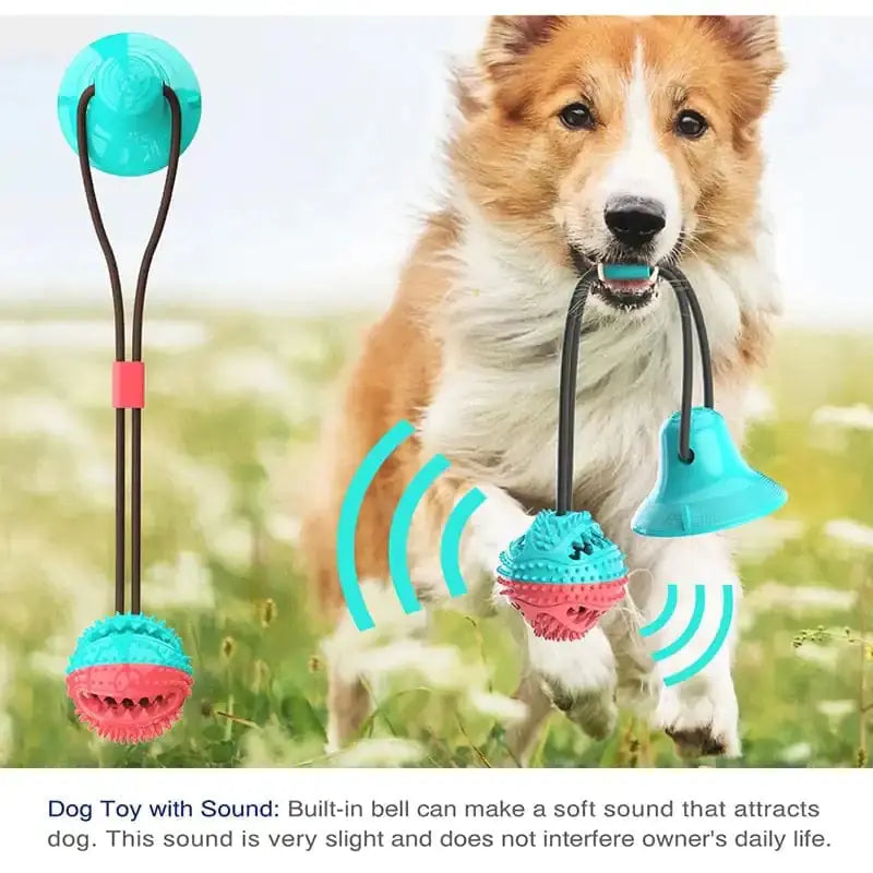 Silicone Suction Cup Dog Toy GLR SHOPPING