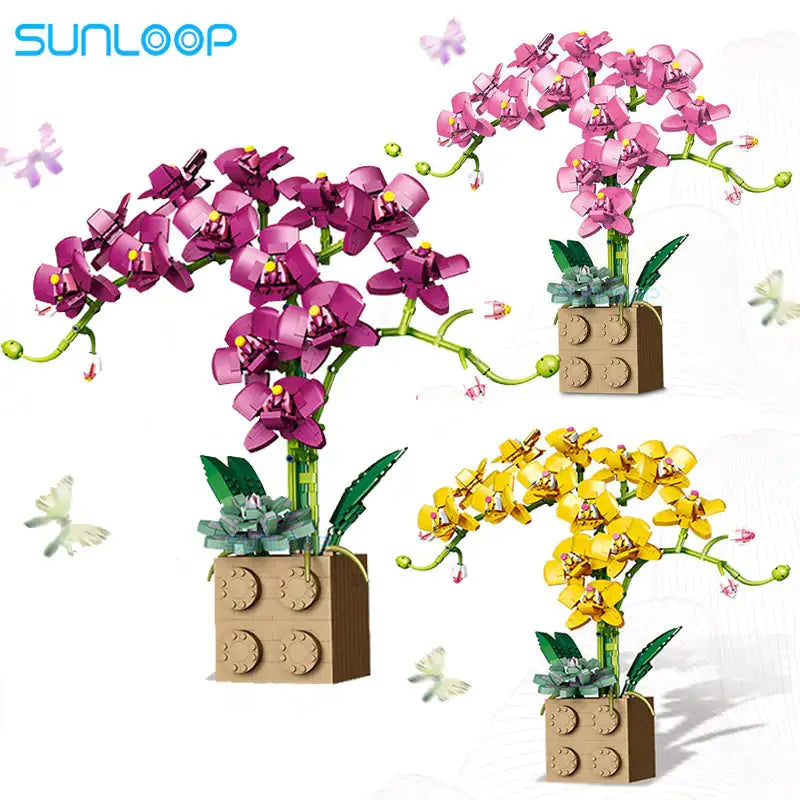 Orchid Building Block Bouquet GLR SHOPPING