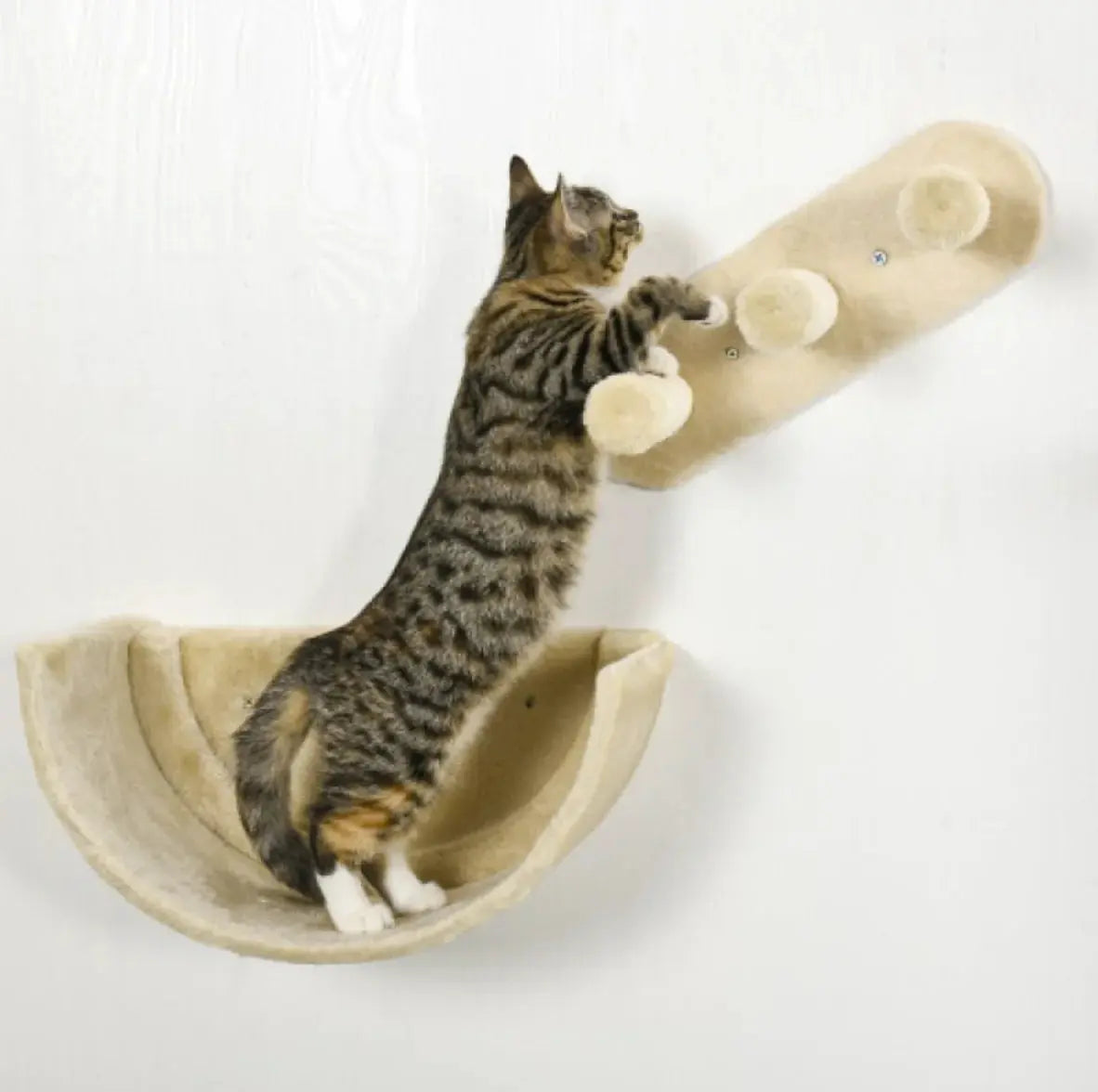 Cat Wall Shelves Set Furniture GLR SHOPPING