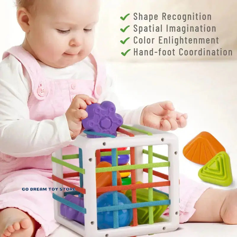 Colorful Shape Blocks Sorting Game GLR SHOPPING