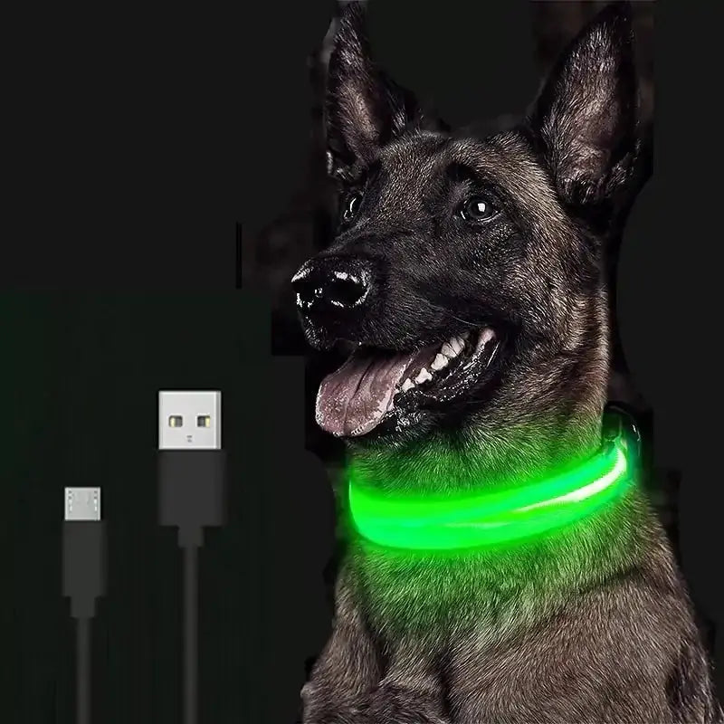 Adjustable LED Pet Collar GLR SHOPPING