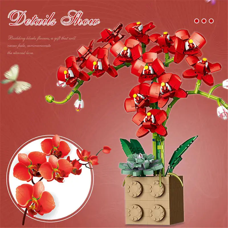 Orchid Building Block Bouquet GLR SHOPPING