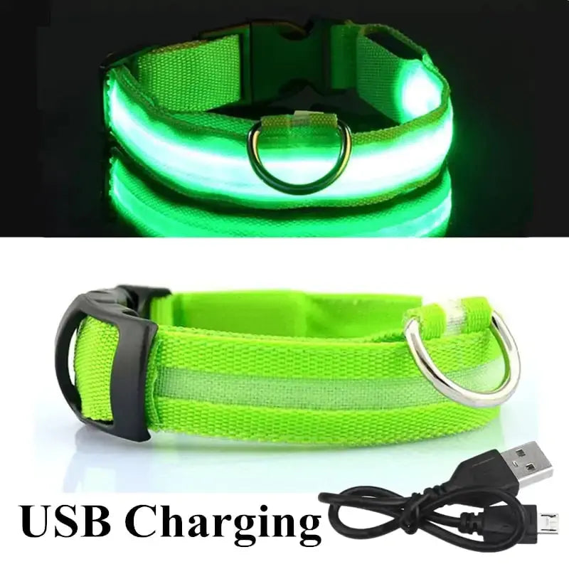 Adjustable LED Pet Collar GLR SHOPPING