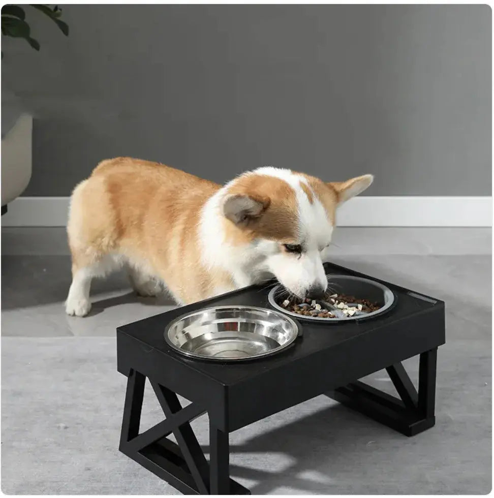 Elevated Slow-Feed Dog Bowl GLR SHOPPING