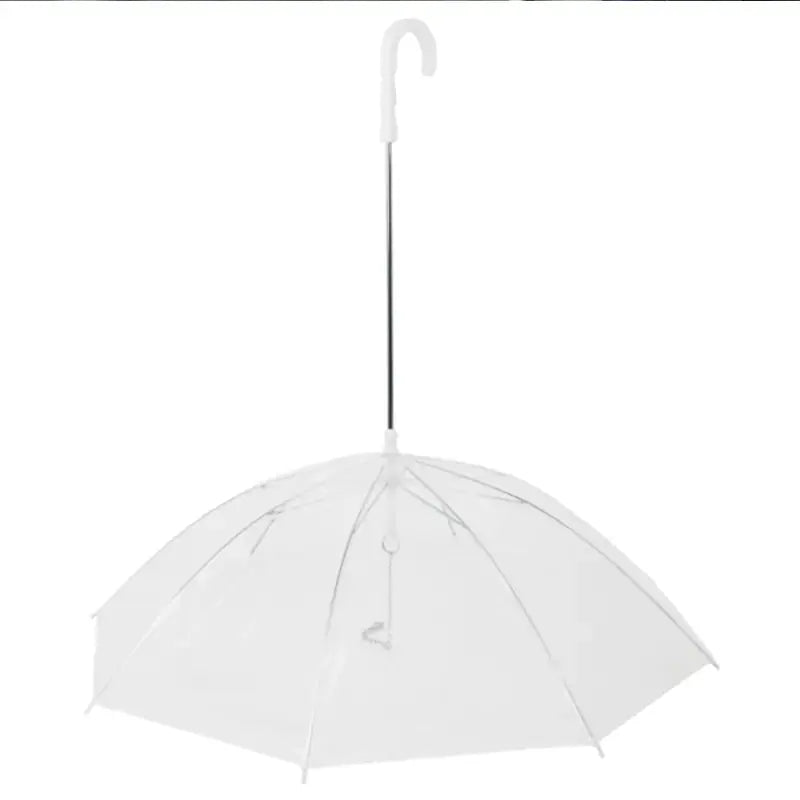 Pet Umbrella Leash GLR SHOPPING