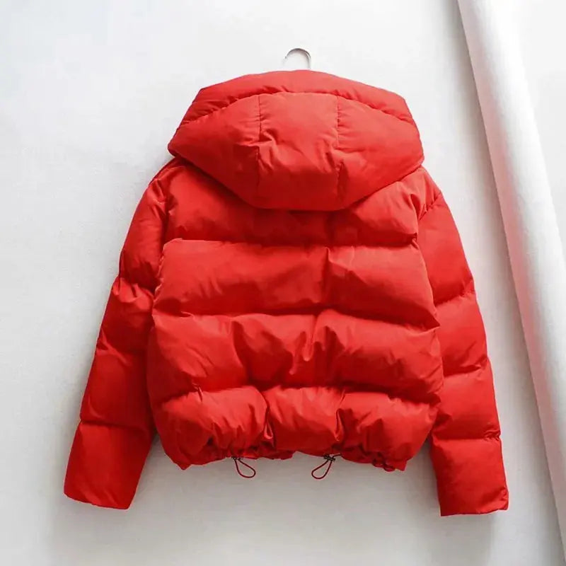 Cotton Padded Jacket Winter Hooded Parkas Women Casual Puffer Jacket GLR SHOPPING
