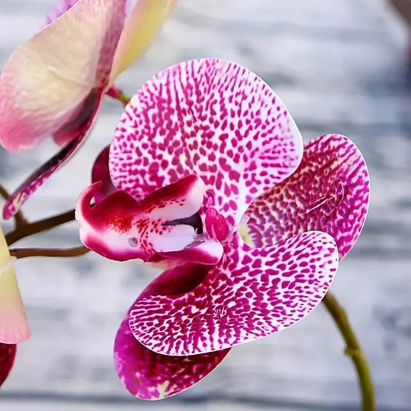 Artificial 6-Head Phalaenopsis Orchid GLR SHOPPING
