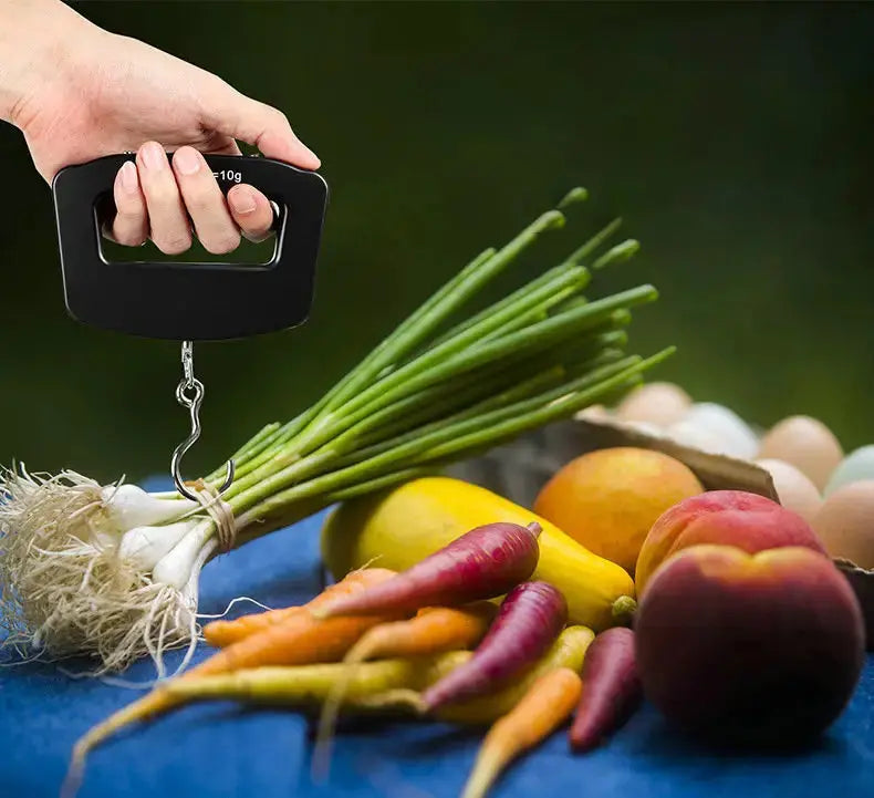 Portable Digital Hook Scale GLR SHOPPING