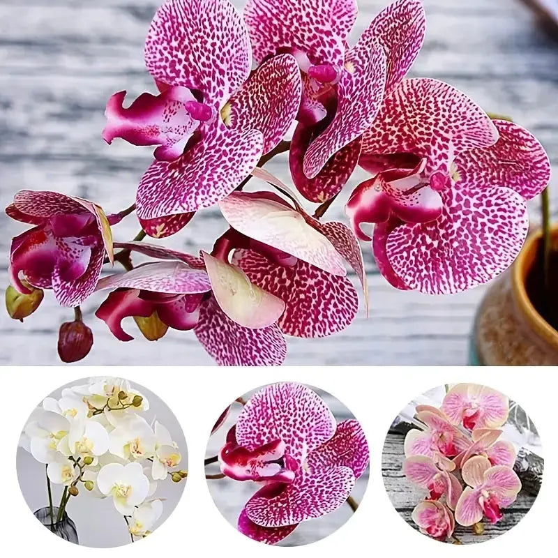 Artificial 6-Head Phalaenopsis Orchid GLR SHOPPING