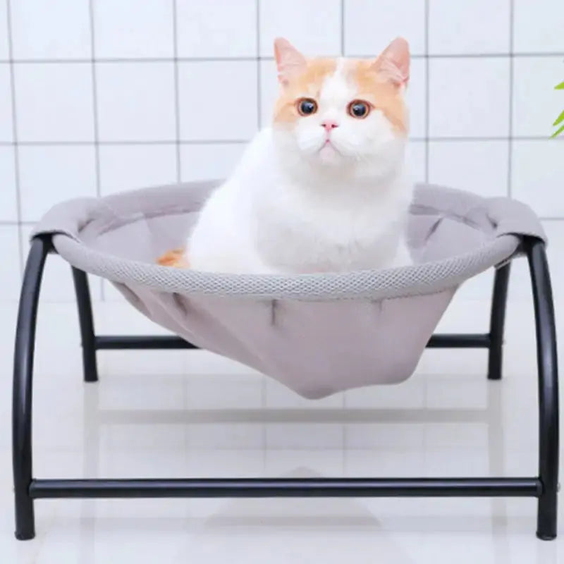 Iron Frame Pet Hammock GLR SHOPPING