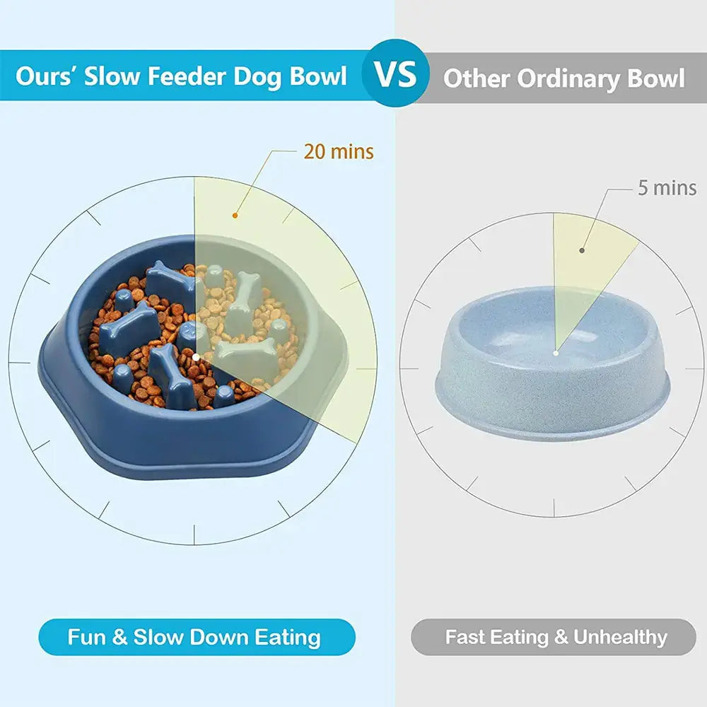Slow Feeder Bone Design Pet Bowl GLR SHOPPING