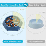 Slow Feeder Bone Design Pet Bowl