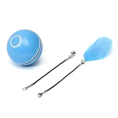 LED Colorful Cat Toy GLR SHOPPING