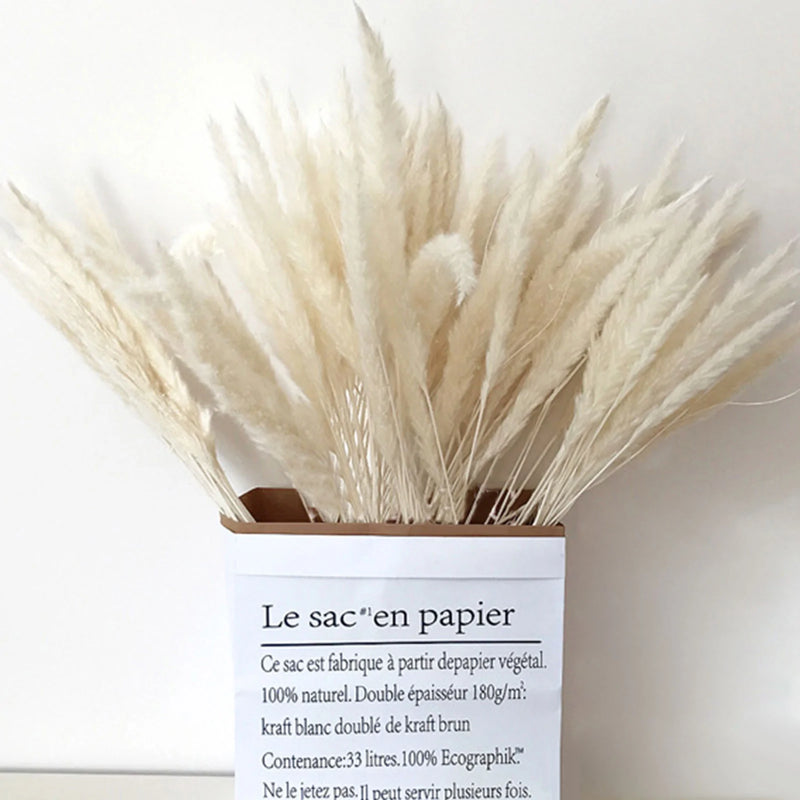 Natural Dried Pampas Grass Phragmites