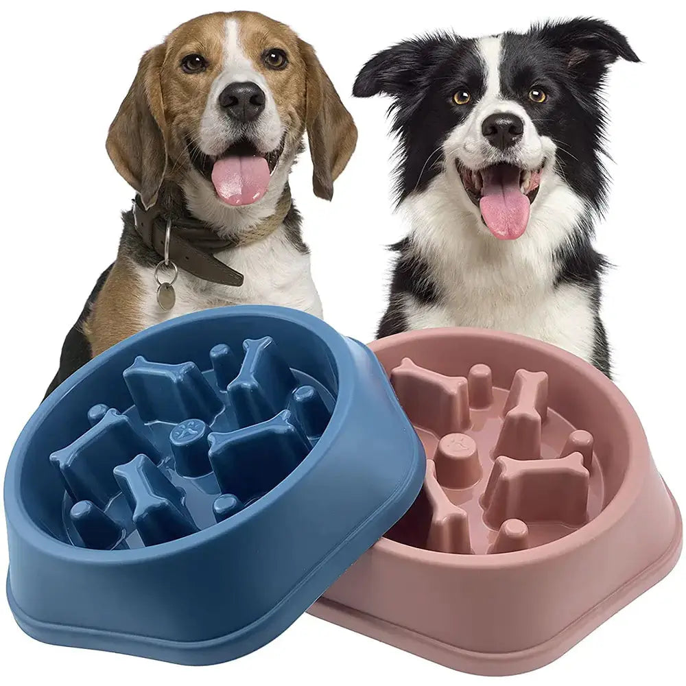 Slow Feeder Bone Design Pet Bowl GLR SHOPPING