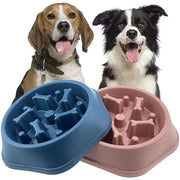 Slow Feeder Bone Design Pet Bowl GLR SHOPPING