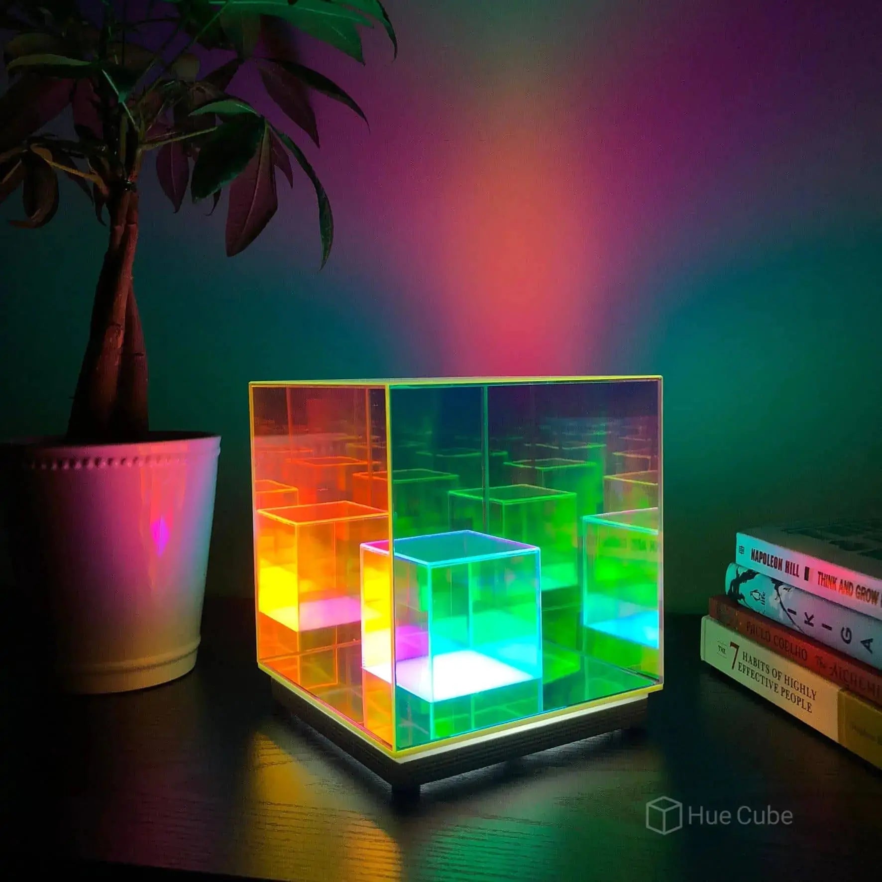 The Infinity Lamp GLR SHOPPING