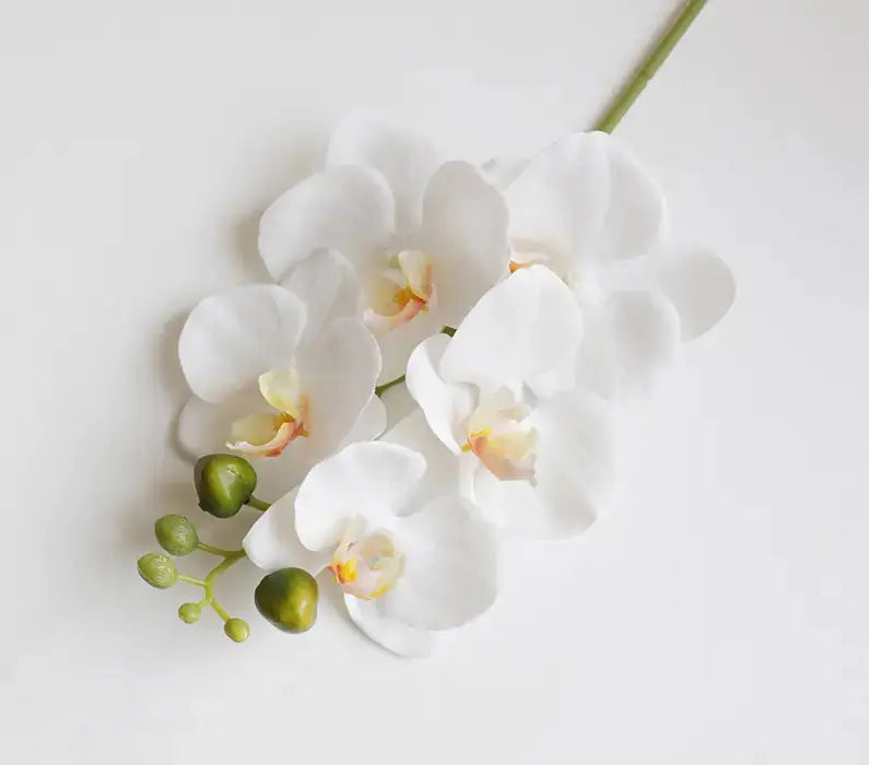 Artificial 6-Head Phalaenopsis Orchid GLR SHOPPING
