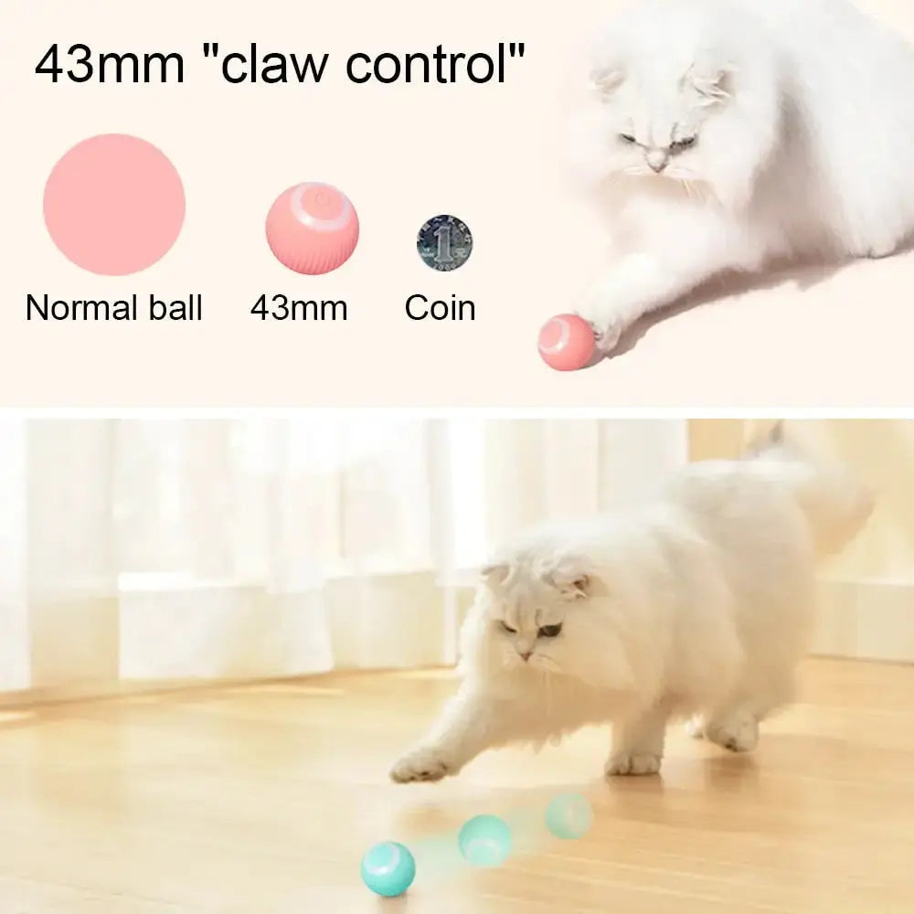 Active Rolling Ball GLR SHOPPING