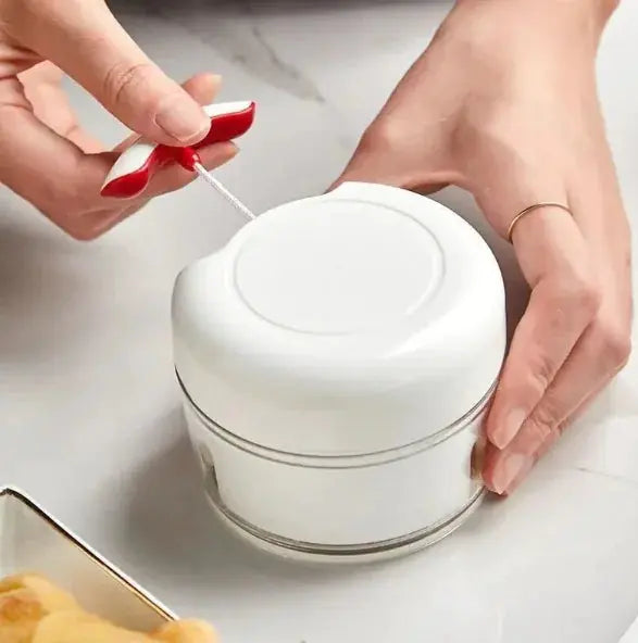 Mini Manual Seasoning Processor Shredder GLR SHOPPING