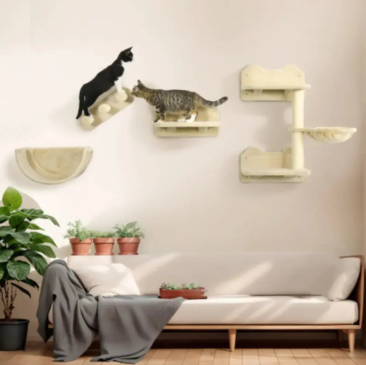 Cat Wall Shelves Set Furniture GLR SHOPPING