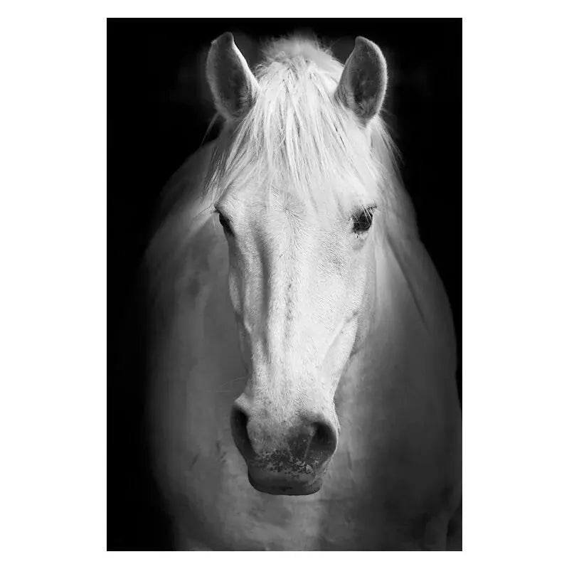 Canvas Painting Animal Wall Art GLR SHOPPING