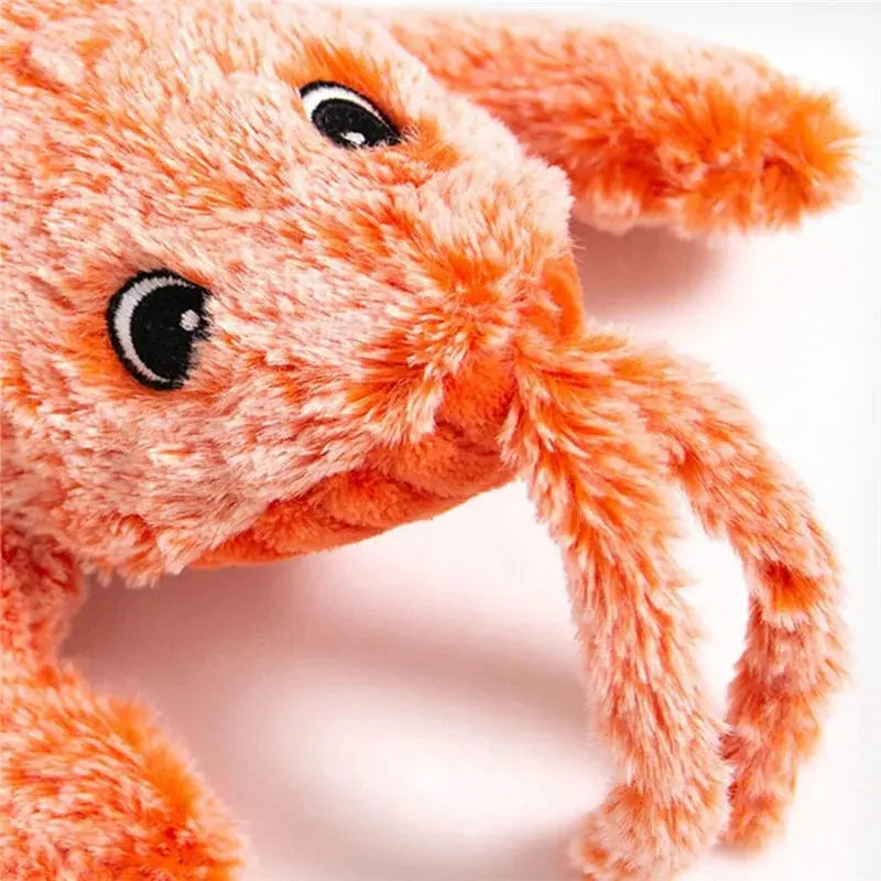 Pet Toy GLR SHOPPING