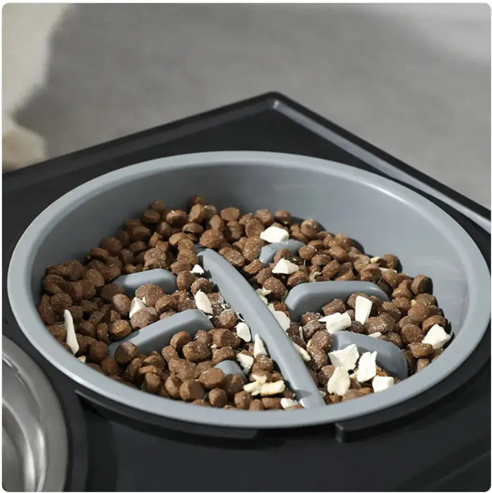Elevated Slow-Feed Dog Bowl GLR SHOPPING