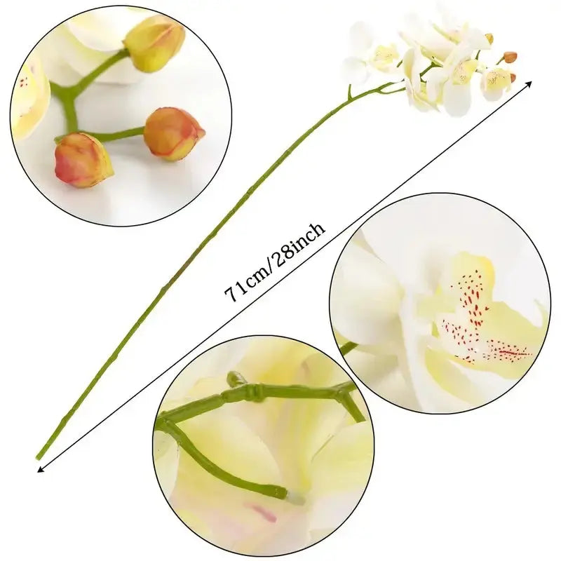 Artificial 6-Head Phalaenopsis Orchid GLR SHOPPING