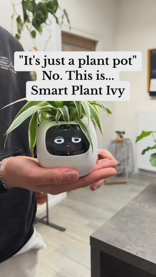 Load video: AI Botanical Buddy