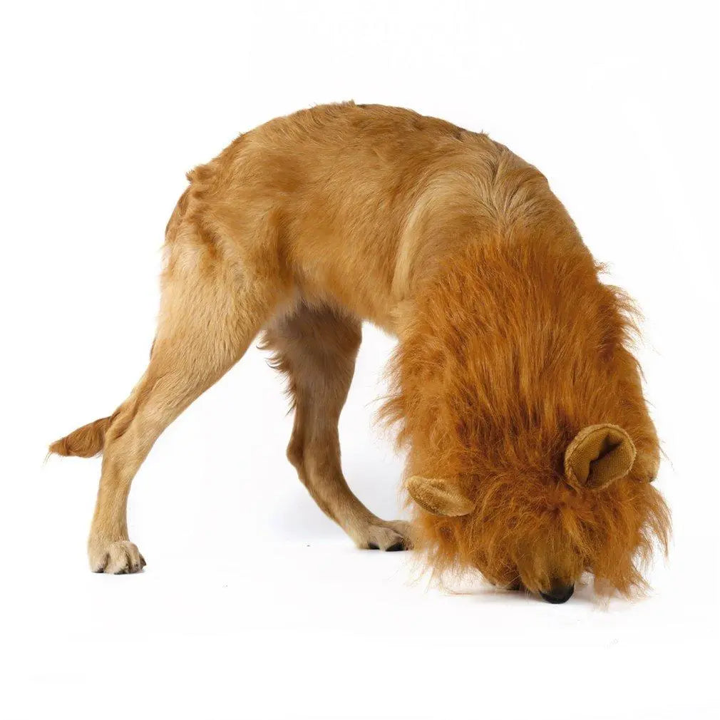Lion Theme Dog Wig - GLR SHOPPING