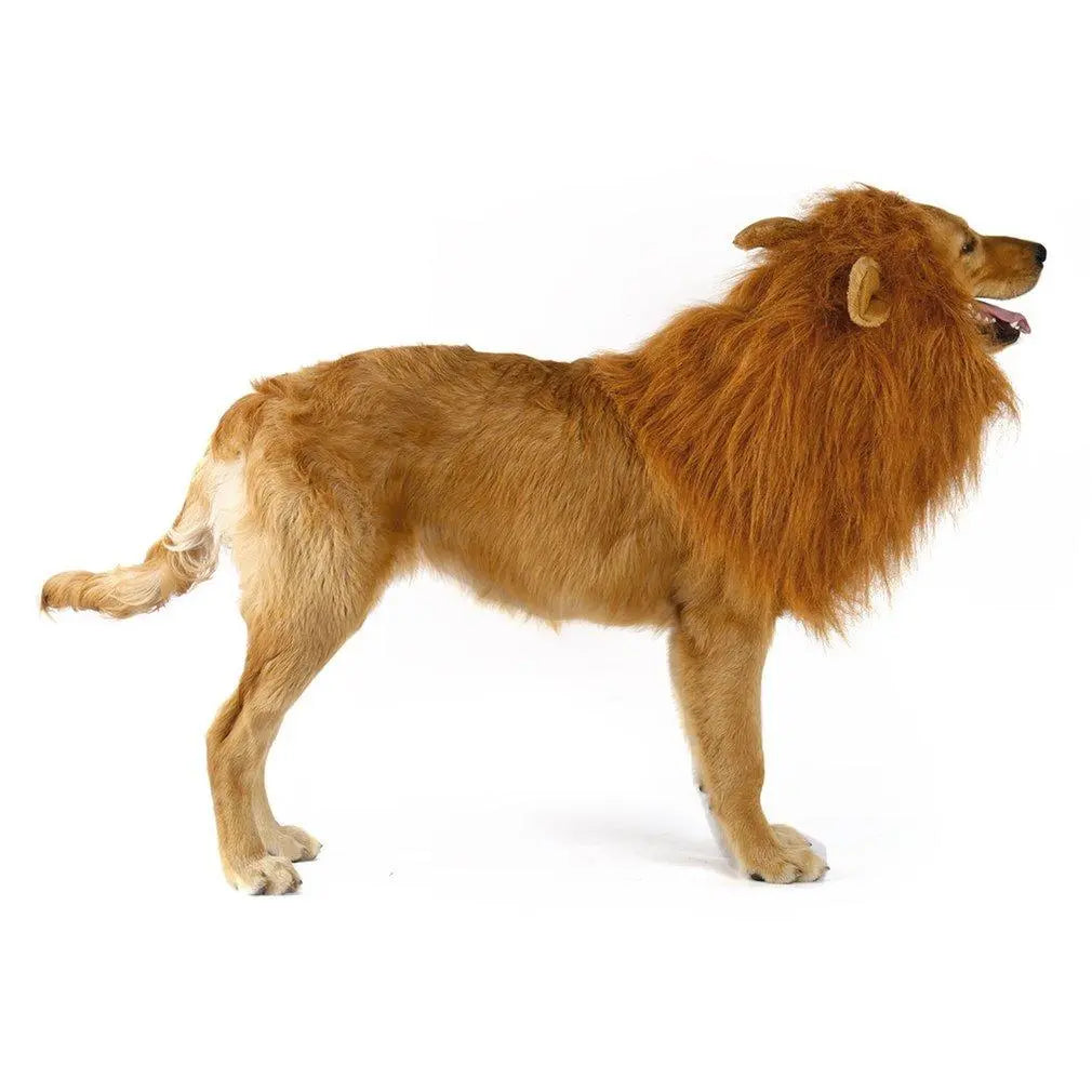 Lion Theme Dog Wig - GLR SHOPPING