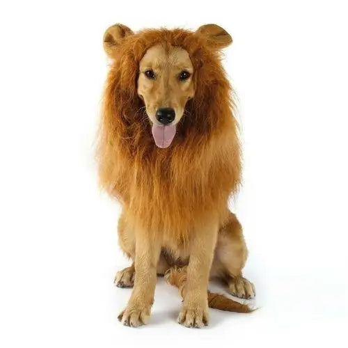 Lion Theme Dog Wig - GLR SHOPPING