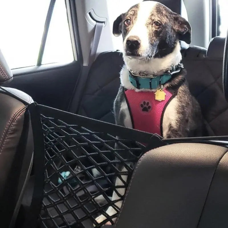 High Quality Premium Pet Car Net Petition - GLR SHOPPING