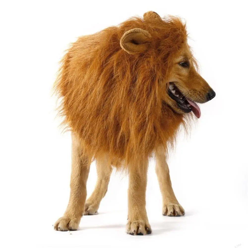 Lion Theme Dog Wig - GLR SHOPPING
