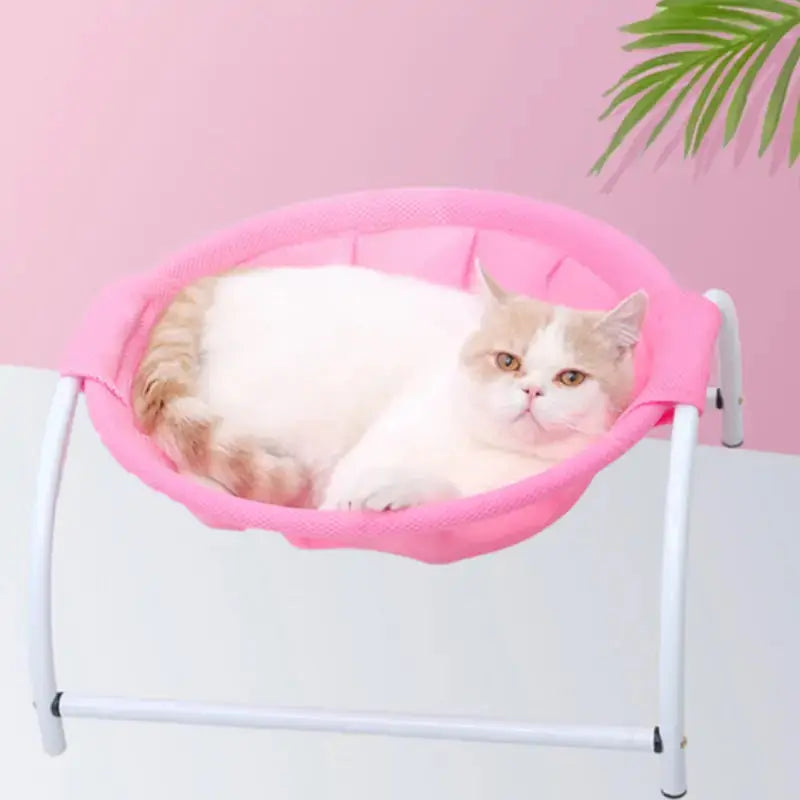 Iron Frame Pet Hammock GLR SHOPPING