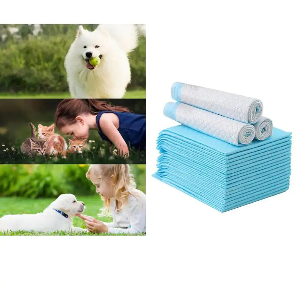 Super Absorbent Pet Diaper GLR SHOPPING
