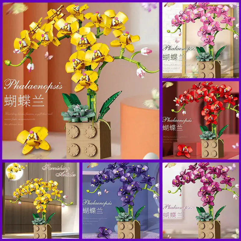 Orchid Building Block Bouquet GLR SHOPPING