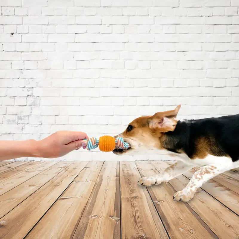 Rope Toy for Pets GLR SHOPPING