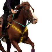 Nylon LED Horse Harness GLR SHOPPING