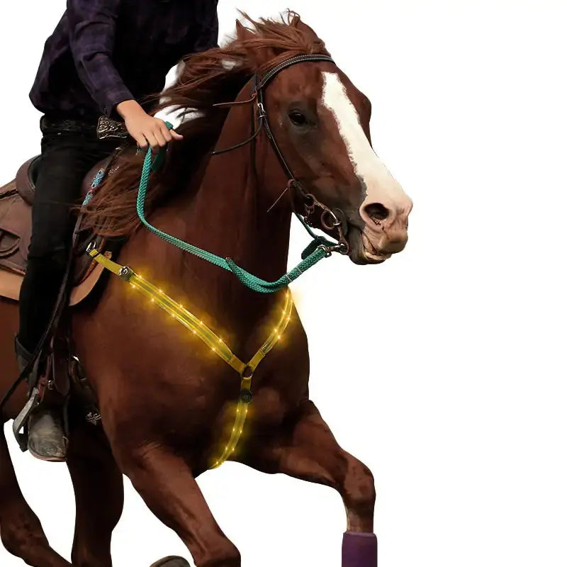 Nylon LED Horse Harness GLR SHOPPING